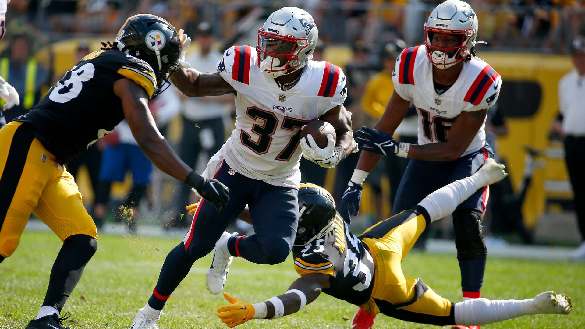 的体育文化 的体育文化